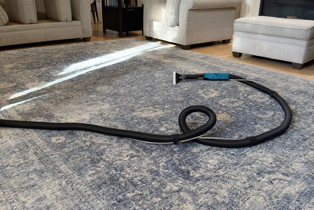Professional area rug cleaning in Dallas with deep extraction equipment prepared for stain removal