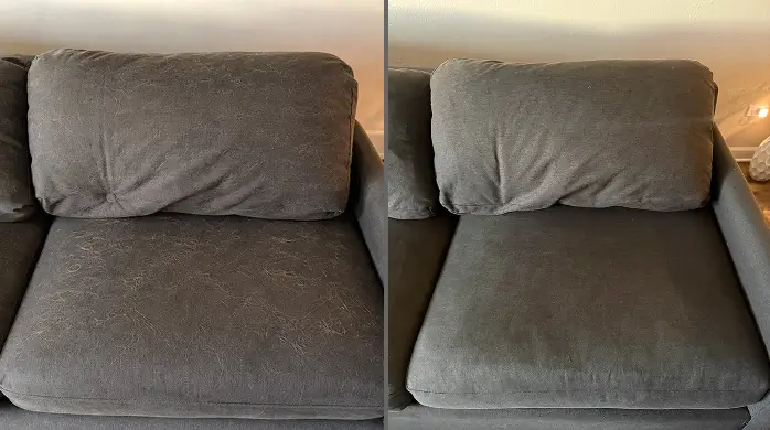 Pet hair removal from couch in Dallas leaving upholstery clean and refreshed