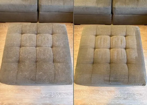 Pet hair removal from couch in Dallas leaving upholstery fresh and free of buildup