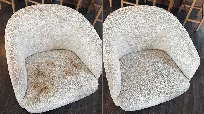 Pet stain removal from chair in Dallas eliminating deep odors and fabric marks