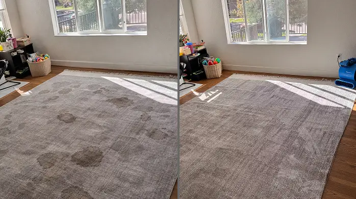 Color-safe rug stain removal in Dallas restoring clean and vibrant fabric fibers