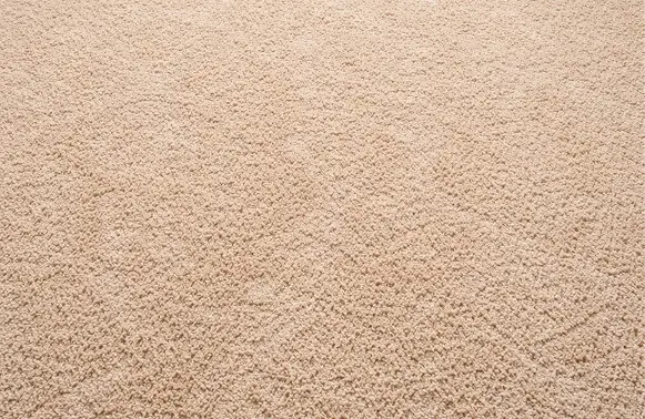 Wall to wall carpet cleaning in Dallas removing deep dirt from high traffic areas