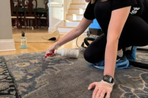 How to Clean Upholstery After a Party or Family Gathering