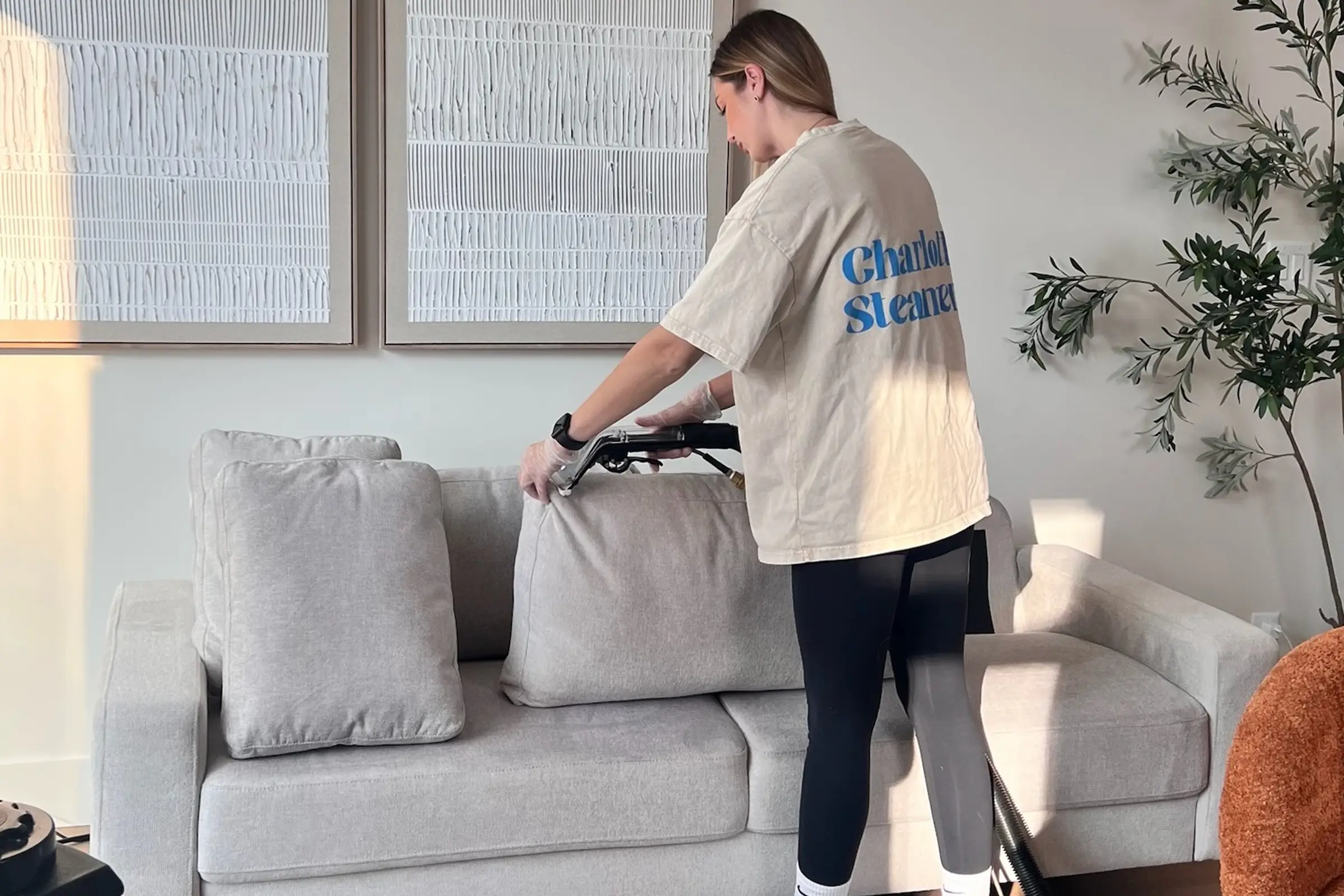 Charlotte Steamers technician performing professional upholstery cleaning on a gray sofa using steam extraction equipment after home renovation in Charlotte, NC