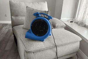 Why Upholstery Cleaning Helps Create a Better First Impression in the Home