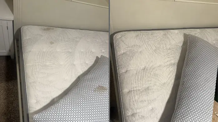 Before and after mattress odor and stain removal on a white mattress with a folded-back cover